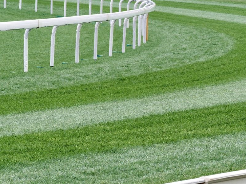 Denise’s Desk: City Racing Gets the Glory While the Bush Gets the Bill