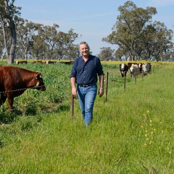 Chaffey’s Corner – Final for the year