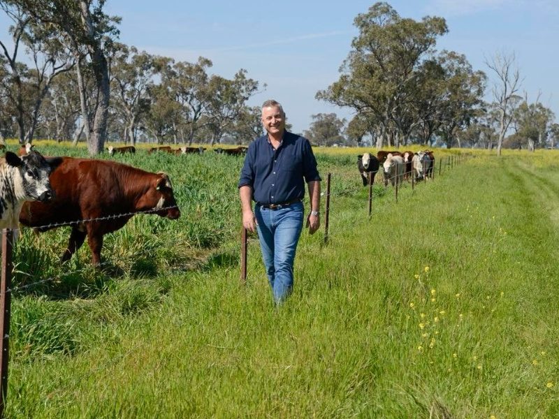 Chaffey’s Corner – Final for the year