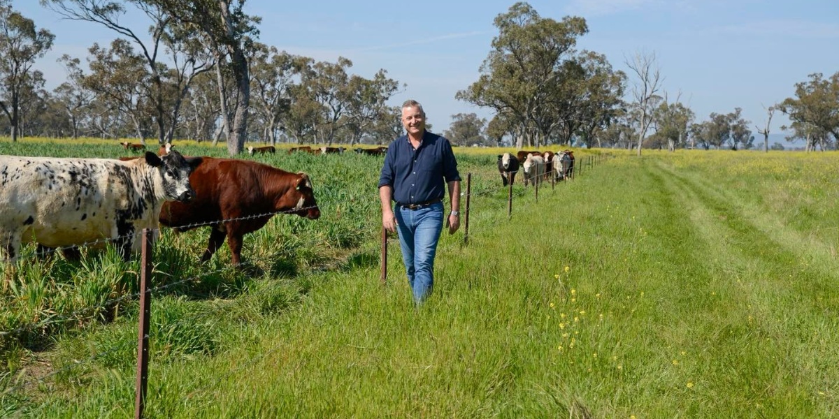 Chaffey’s Corner – Final for the year