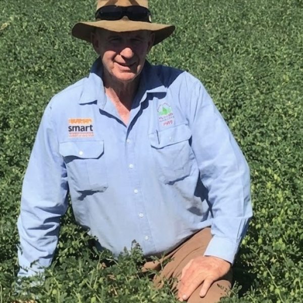 Macca’s weeds: How resistance travels on the wind