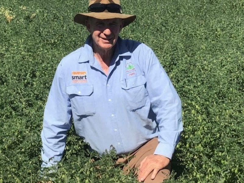 Macca’s weeds: How resistance travels on the wind