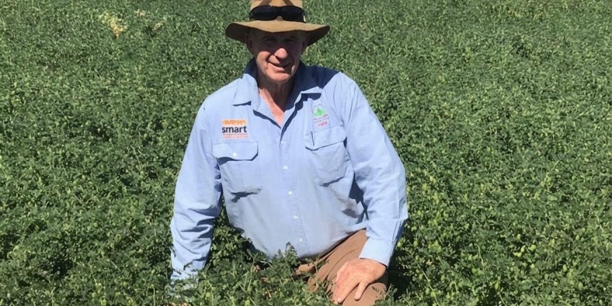 Macca’s weeds: How resistance travels on the wind