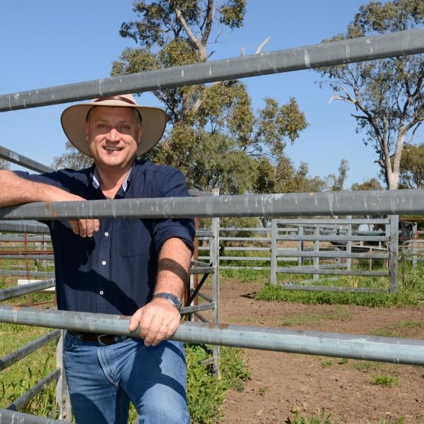 Chaffey’s Corner – Labor-Greens environmental deal