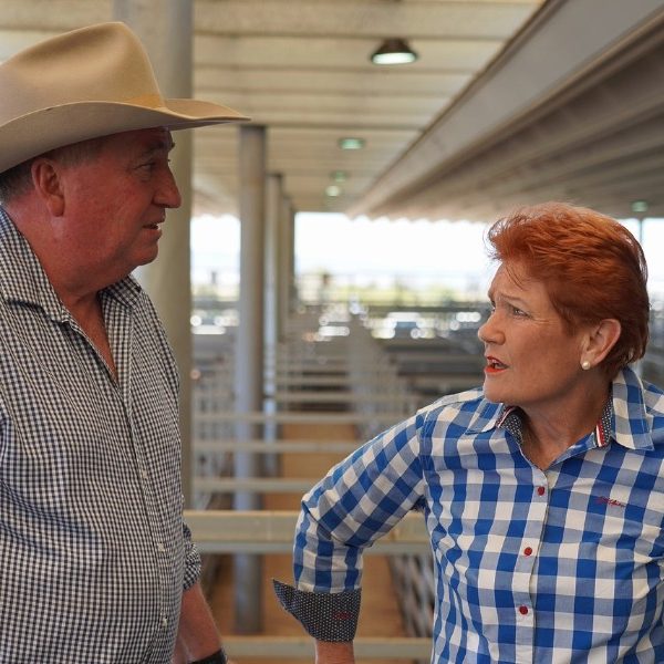 Denise’s Desk: Is This Really What New England Voted For?