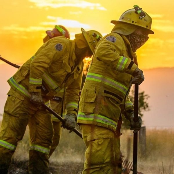 Opinion: Firefighters face repeat trauma. We learned how to reduce their risk of PTSD