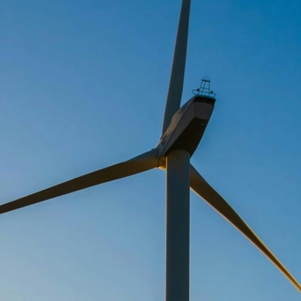 Opinion: Renewables over 50%, wholesale prices down – is the energy transition… succeeding?