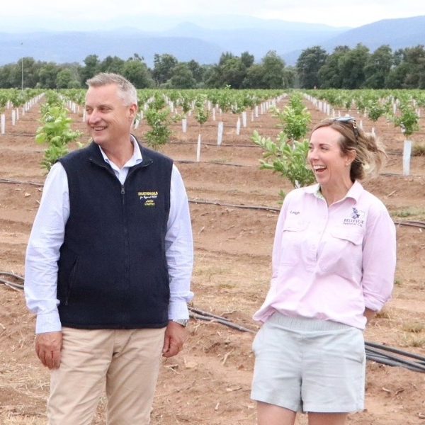 Chaffey’s Corner: There’s one thing everyone is talking about.