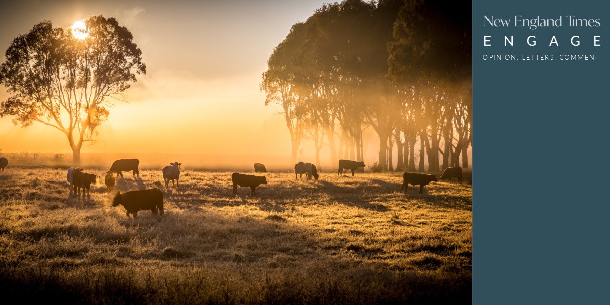 Opinion: Farmers are boosting their profits and production – with nature’s help
