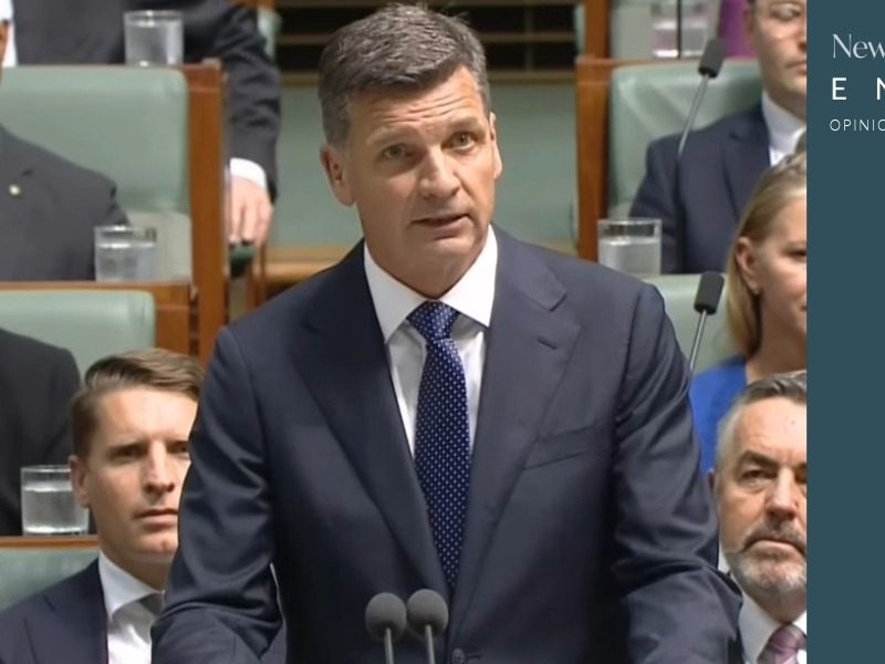 Denise’s Desk: Is Angus Taylor Ignorant, Nasty or Just Clueless?